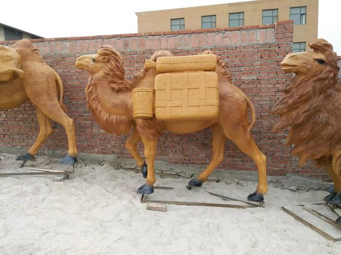 魔兽世界：获取稀有骆驼坐骑的详细指南